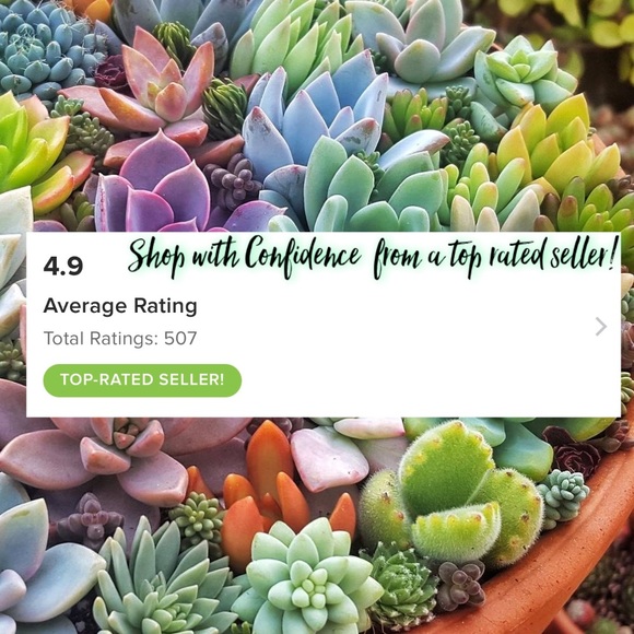 $50 Mystery Reseller Box🌸 - Picture 2 of 6